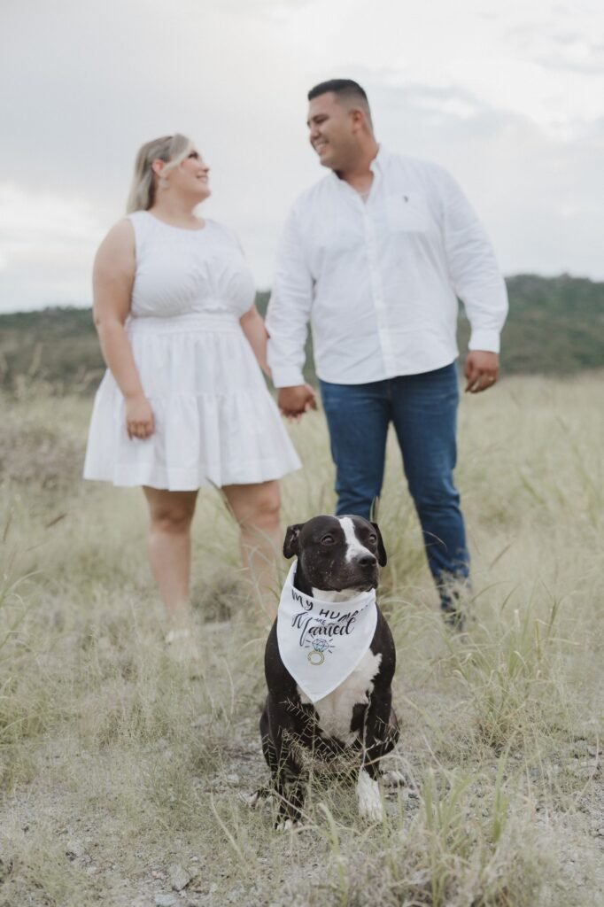 Imagen de WhatsApp 2025-10-22 a las 10.37.15_86e9b71d